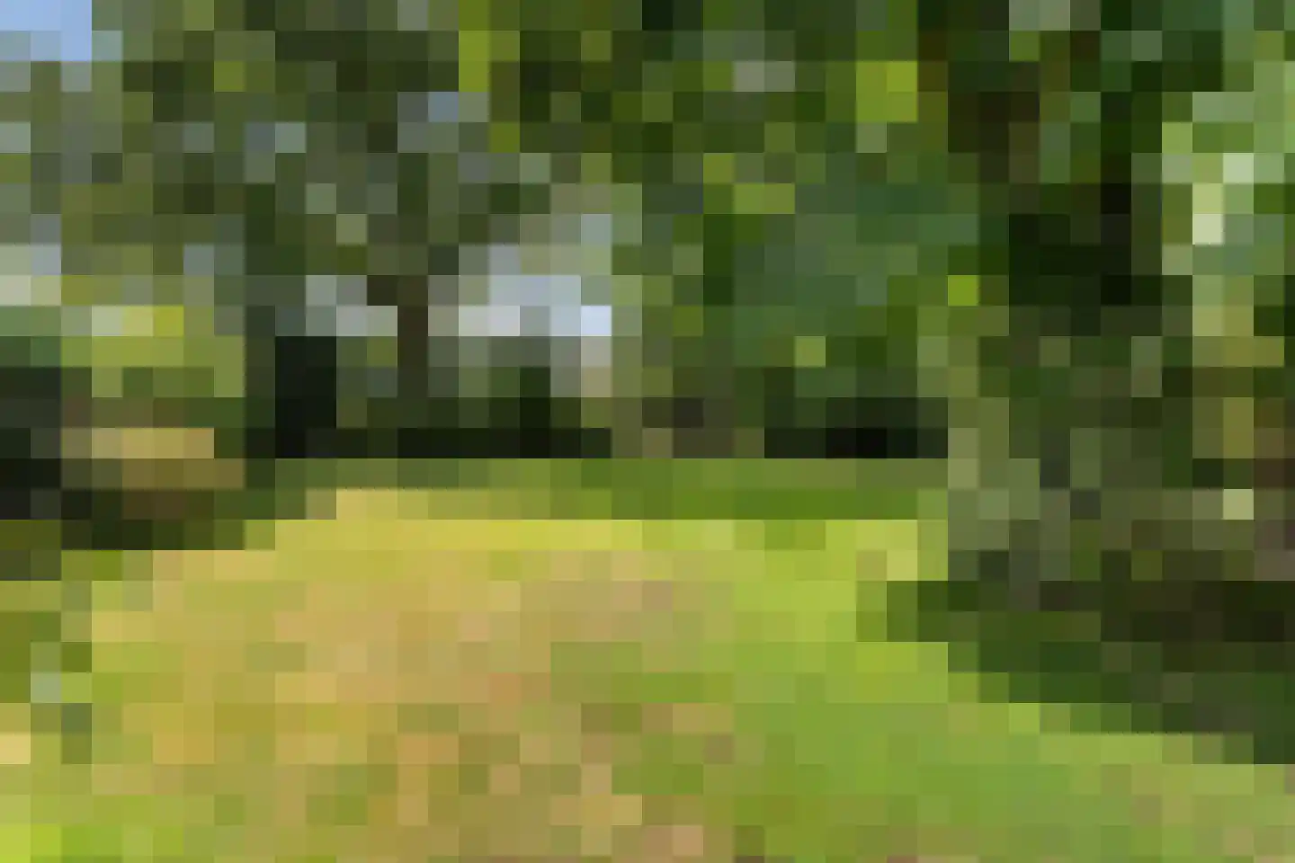 Hoofdstraat 28 Zwiggelte thumbnail 43