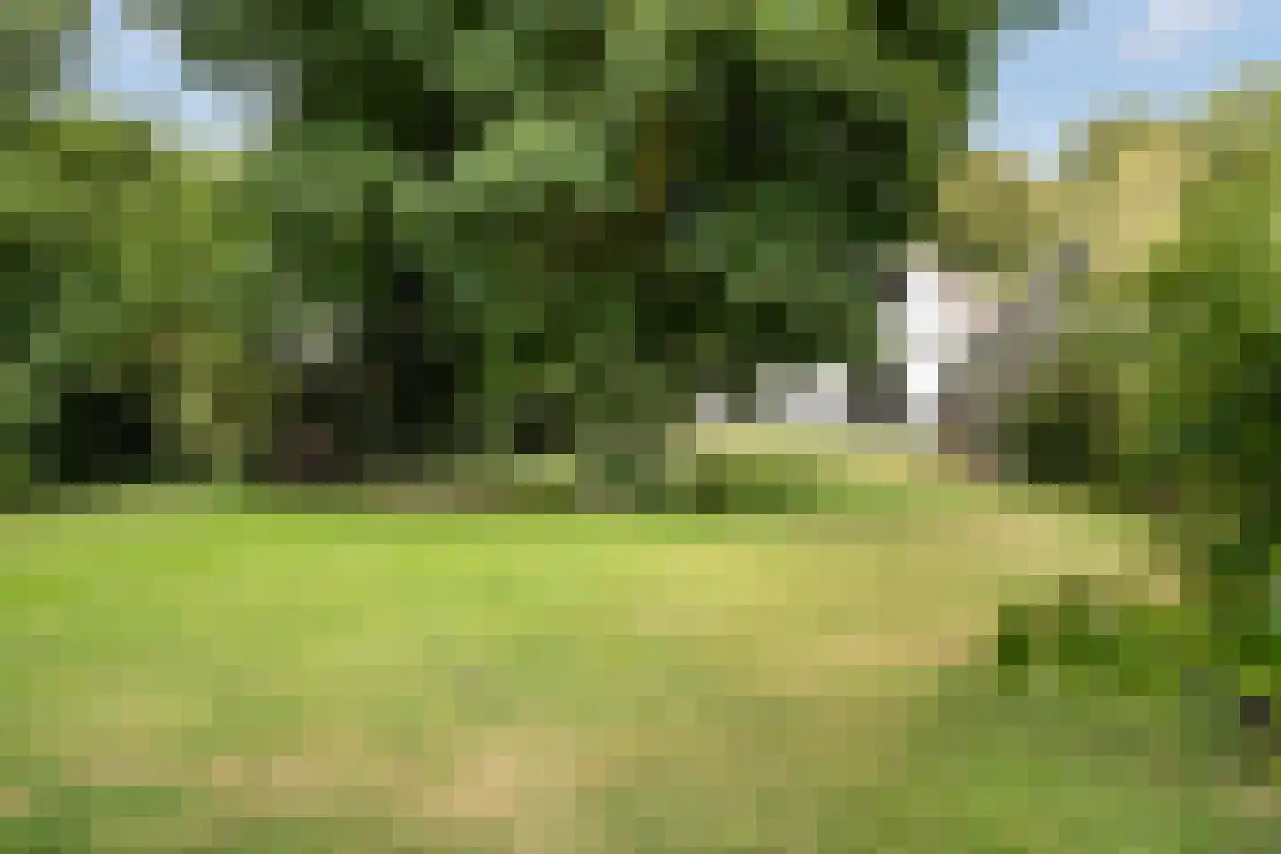 Hoofdstraat 28 Zwiggelte thumbnail 44