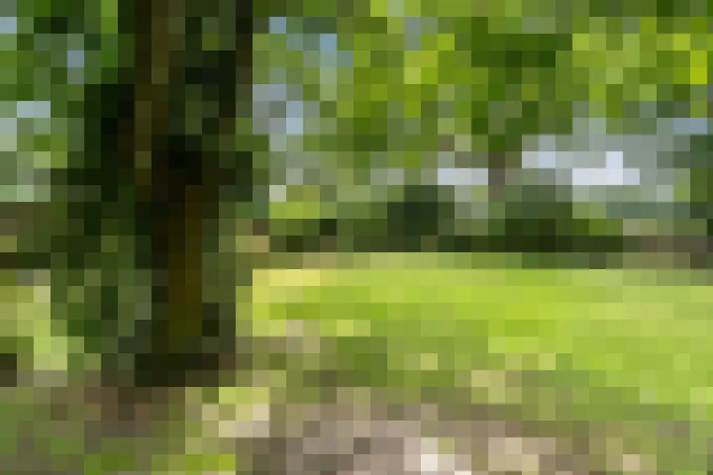 Hoofdstraat 28 Zwiggelte thumbnail 45