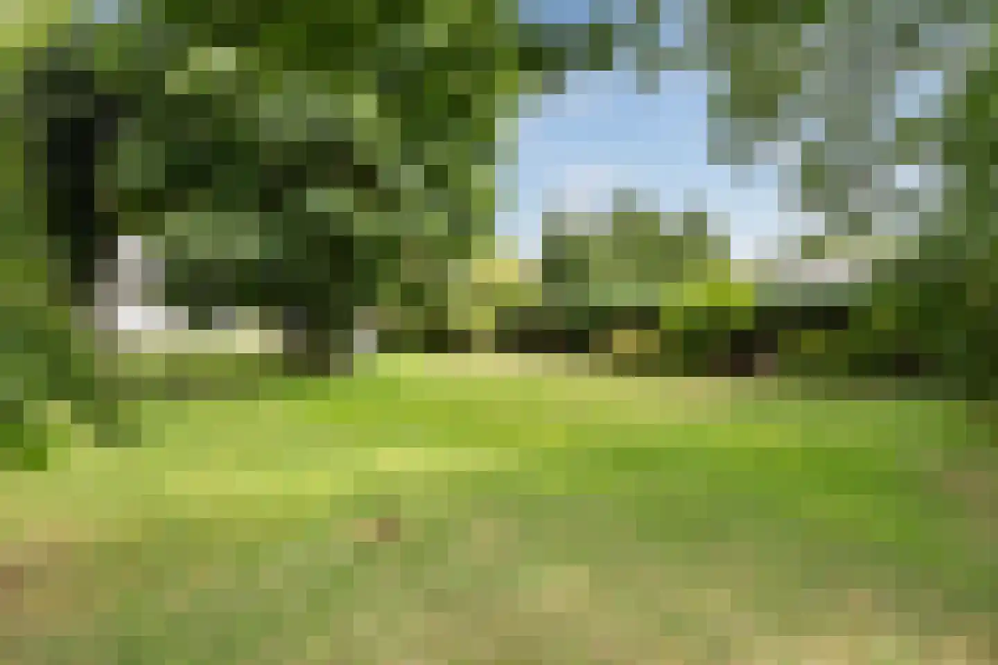 Hoofdstraat 28 Zwiggelte thumbnail 55