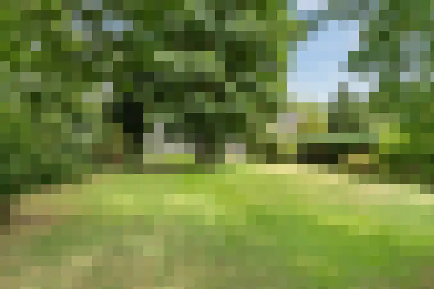 Hoofdstraat 28 Zwiggelte thumbnail 56