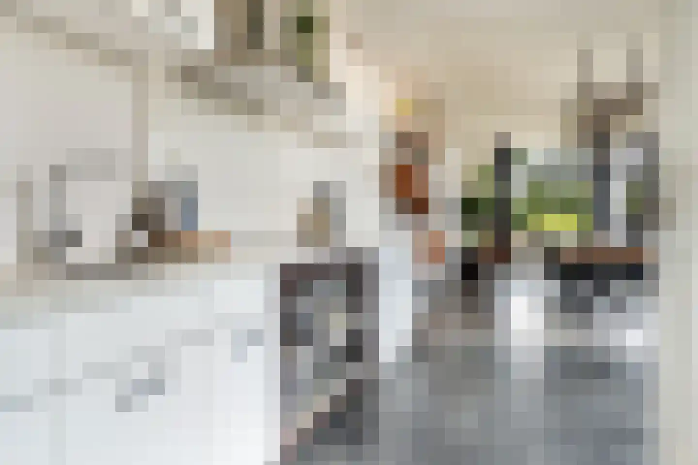 Hoofdstraat 28 Zwiggelte thumbnail 8