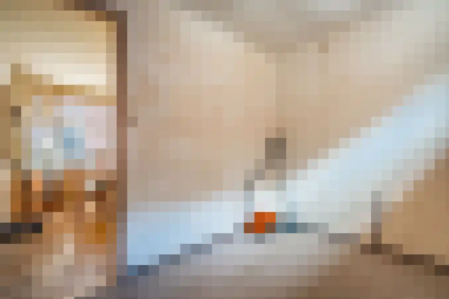 Hoofdstraat 285 Beerta thumbnail 14