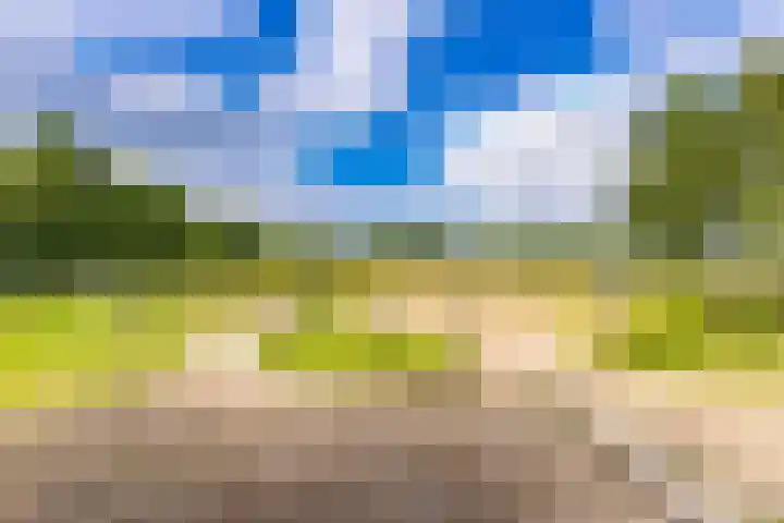 Hoofdstraat 29 Drouwen thumbnail 27