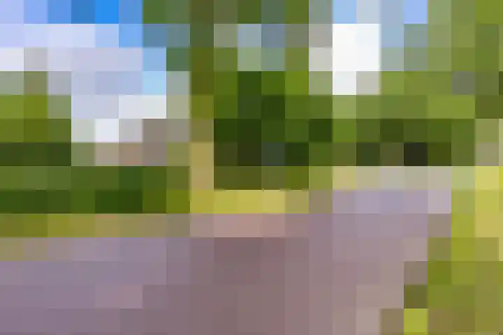 Hoofdstraat 29 Drouwen thumbnail 29