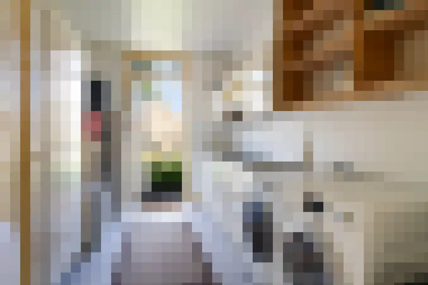Hoofdstraat 29 Ferwert thumbnail 15