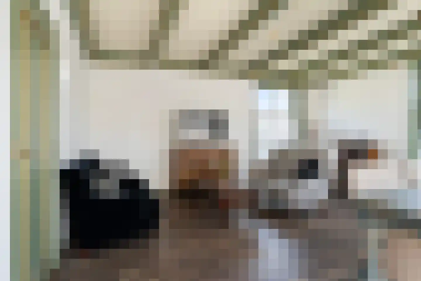 Hoofdstraat 29 Ferwert thumbnail 17