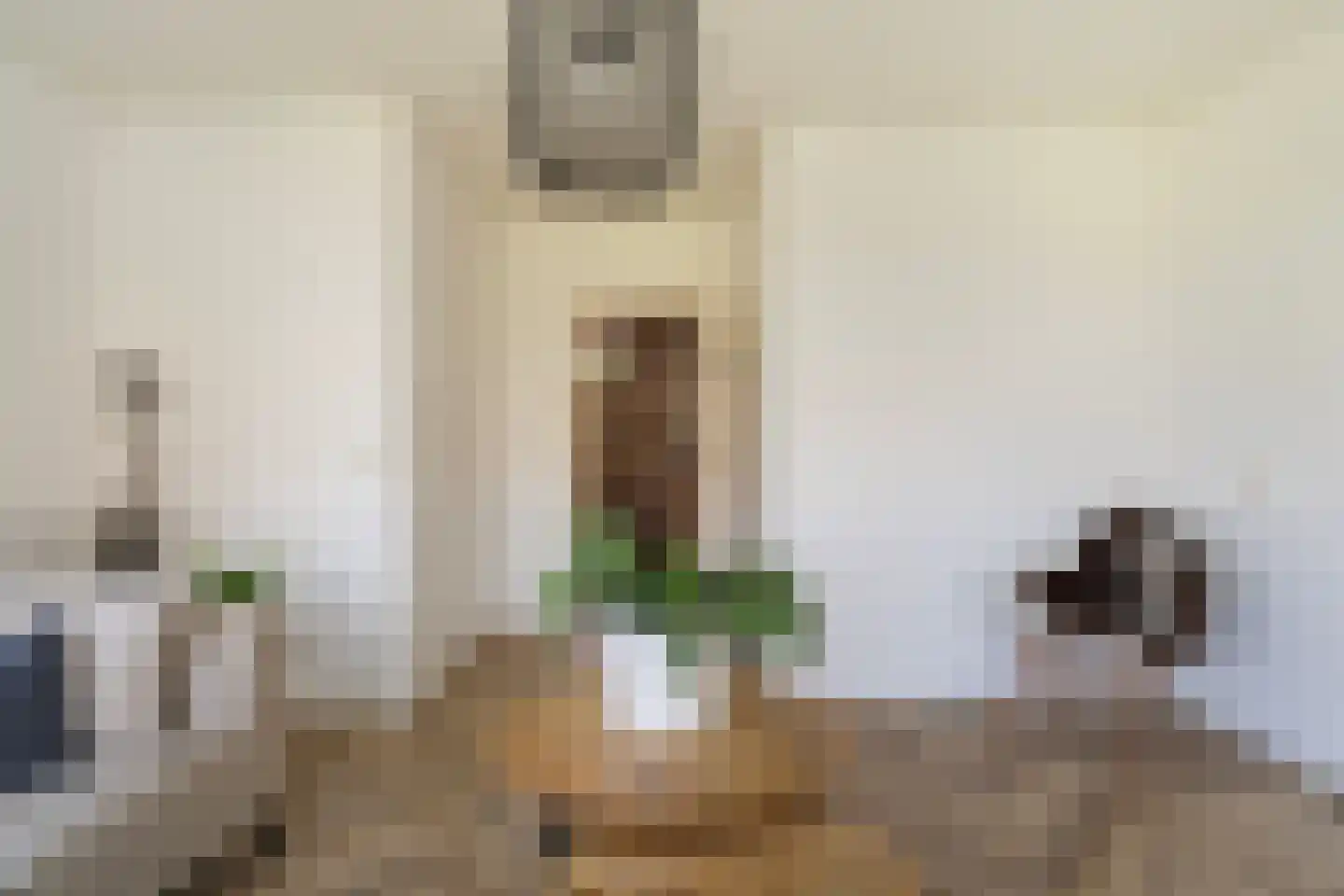 Hoofdstraat 29 Ferwert thumbnail 25