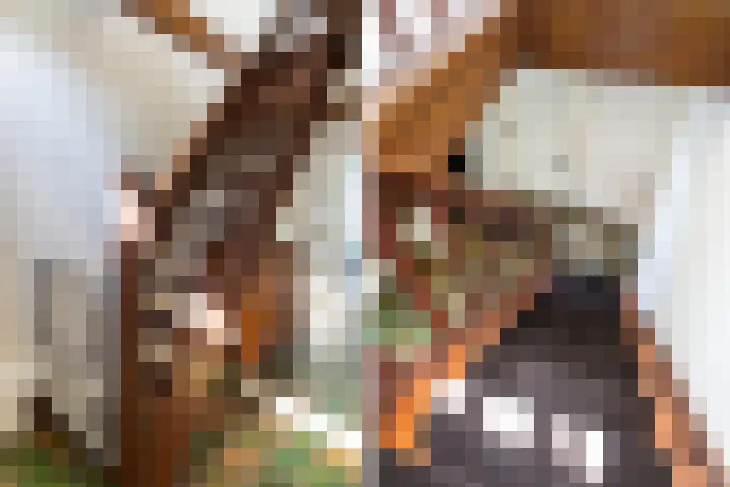 Hoofdstraat 29 Ferwert thumbnail 26