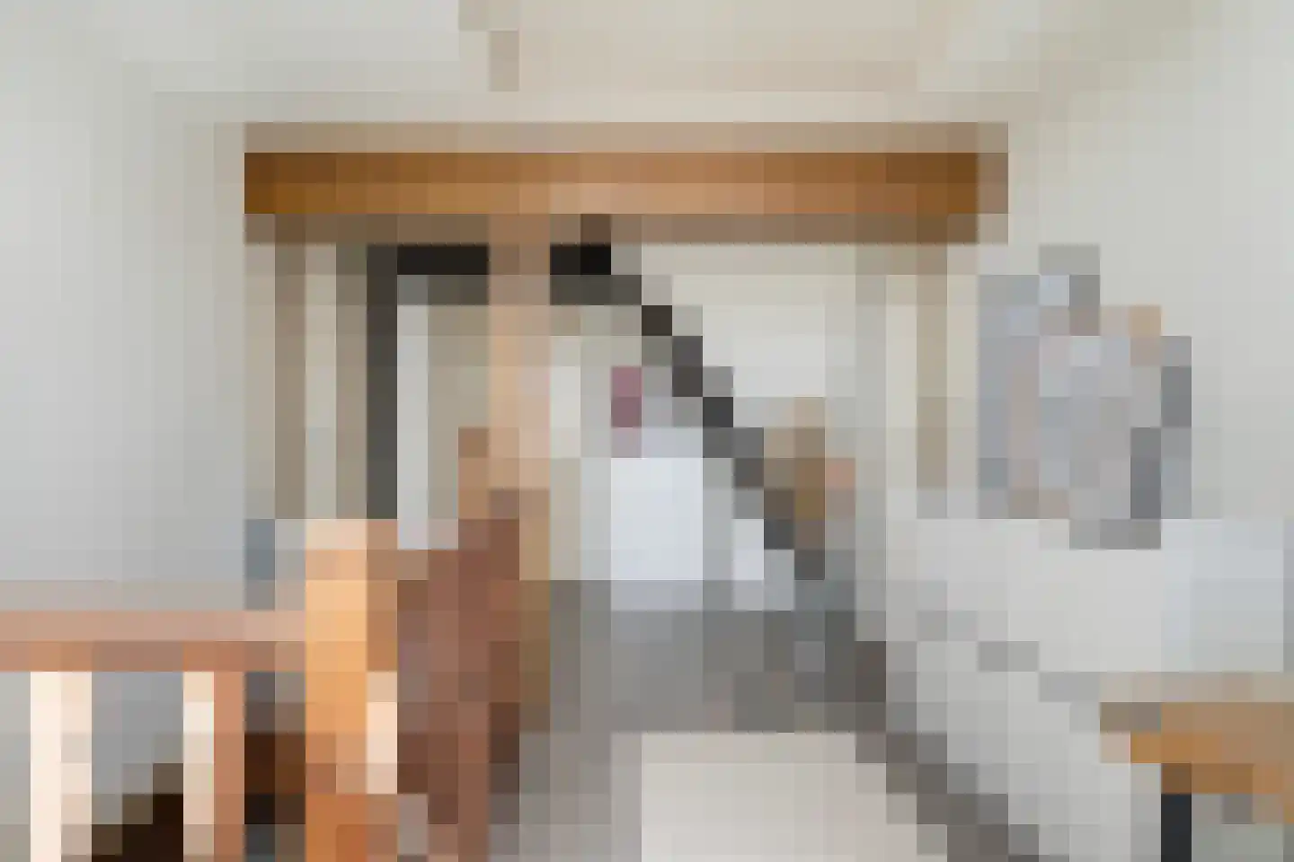 Hoofdstraat 29 Ferwert thumbnail 28