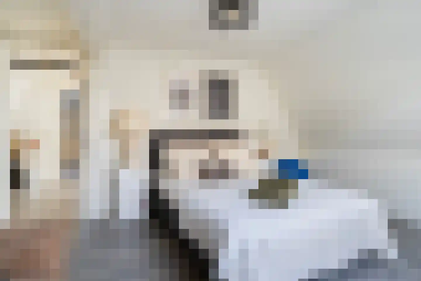 Hoofdstraat 29 Ferwert thumbnail 29
