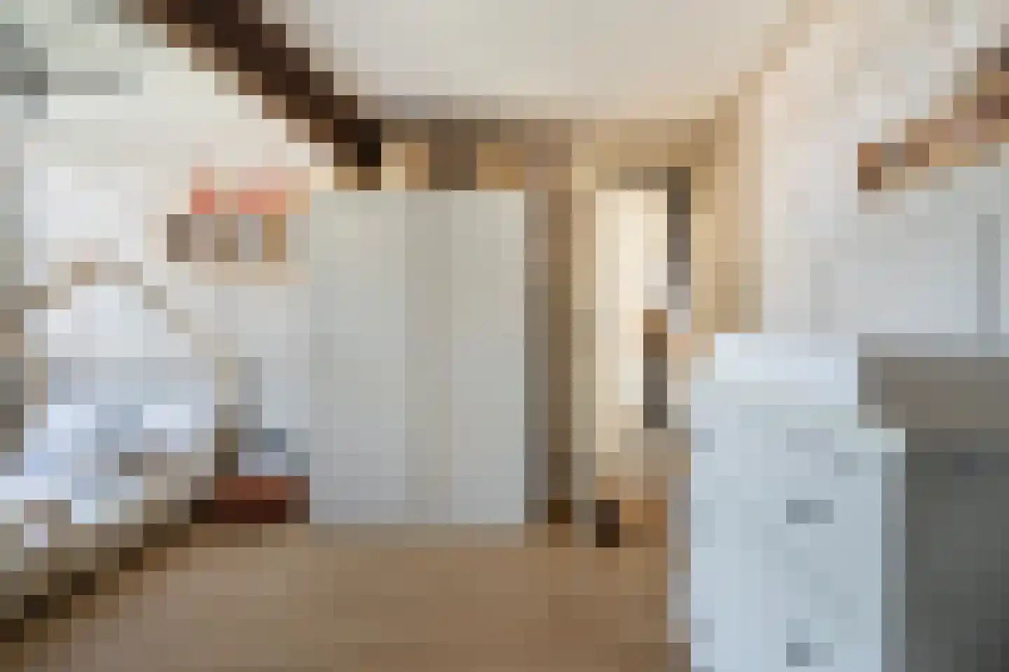 Hoofdstraat 29 Ferwert thumbnail 34