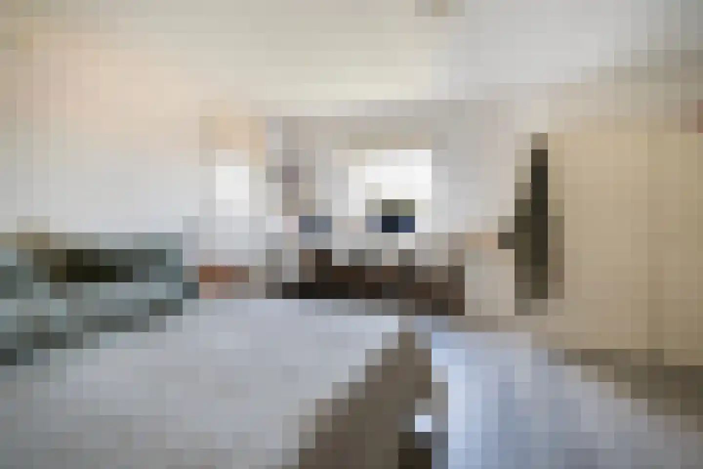 Hoofdstraat 29 Ferwert thumbnail 37