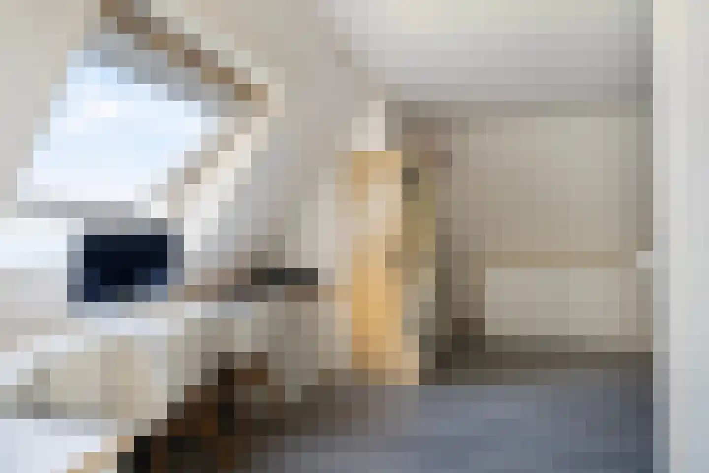 Hoofdstraat 29 Ferwert thumbnail 39