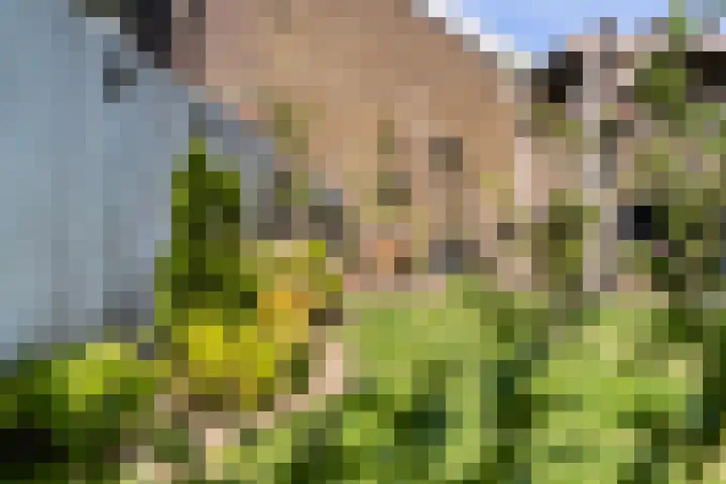 Hoofdstraat 29 Ferwert thumbnail 44