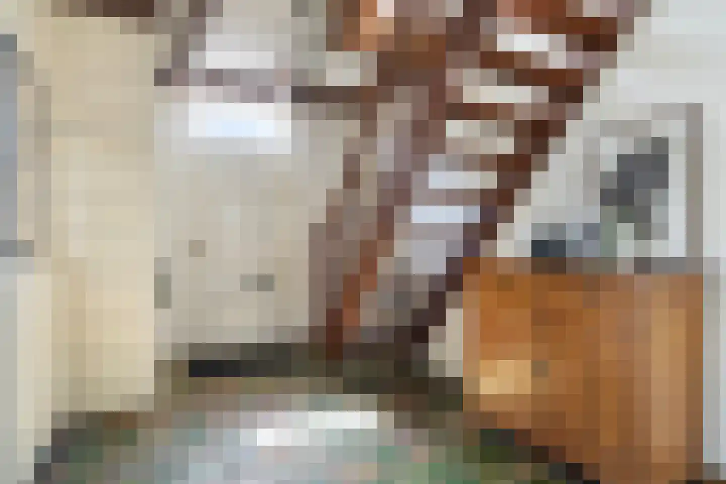 Hoofdstraat 29 Ferwert thumbnail 6