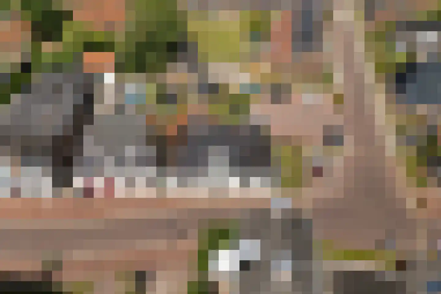 Hoofdstraat 29 Ferwert thumbnail 61