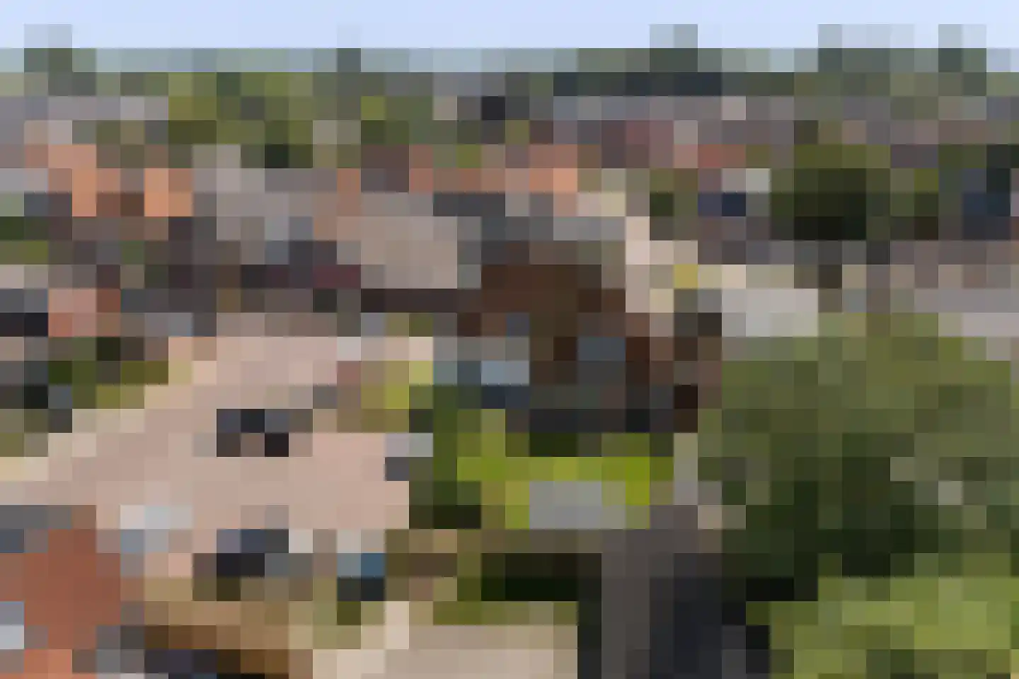 Hoofdstraat 29 Ferwert thumbnail 63