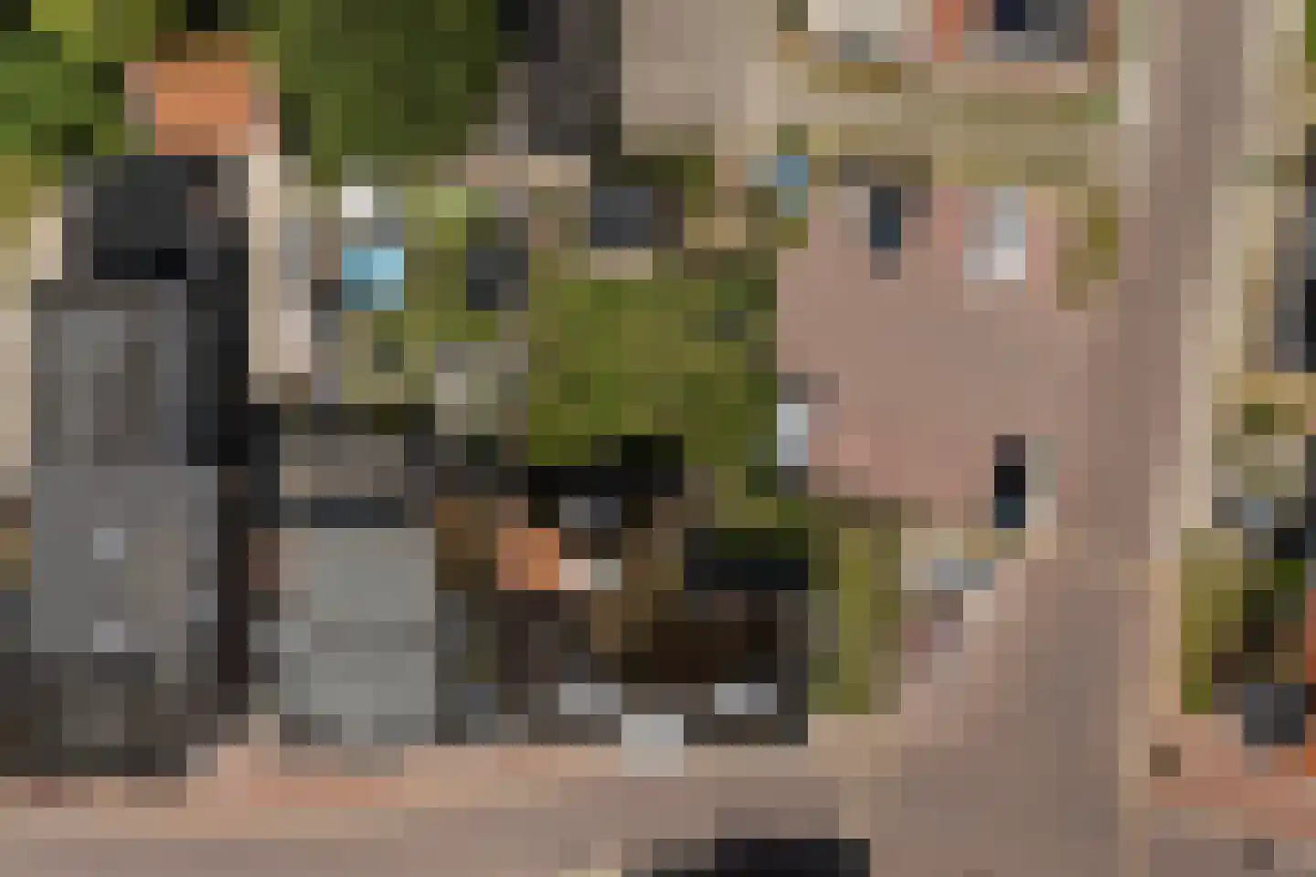Hoofdstraat 29 Ferwert thumbnail 65