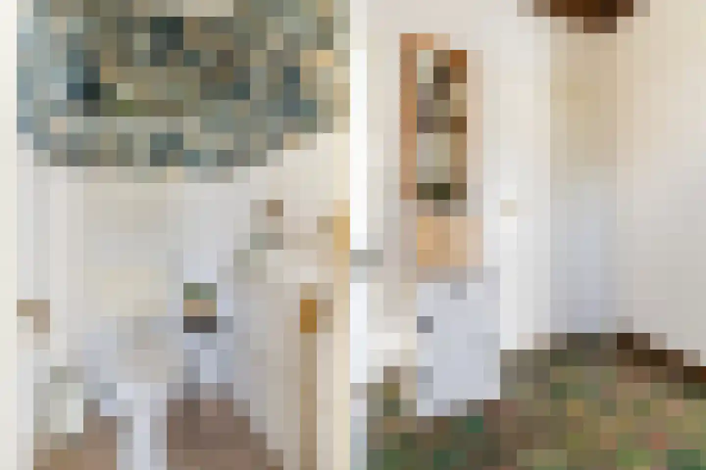 Hoofdstraat 29 Ferwert thumbnail 8