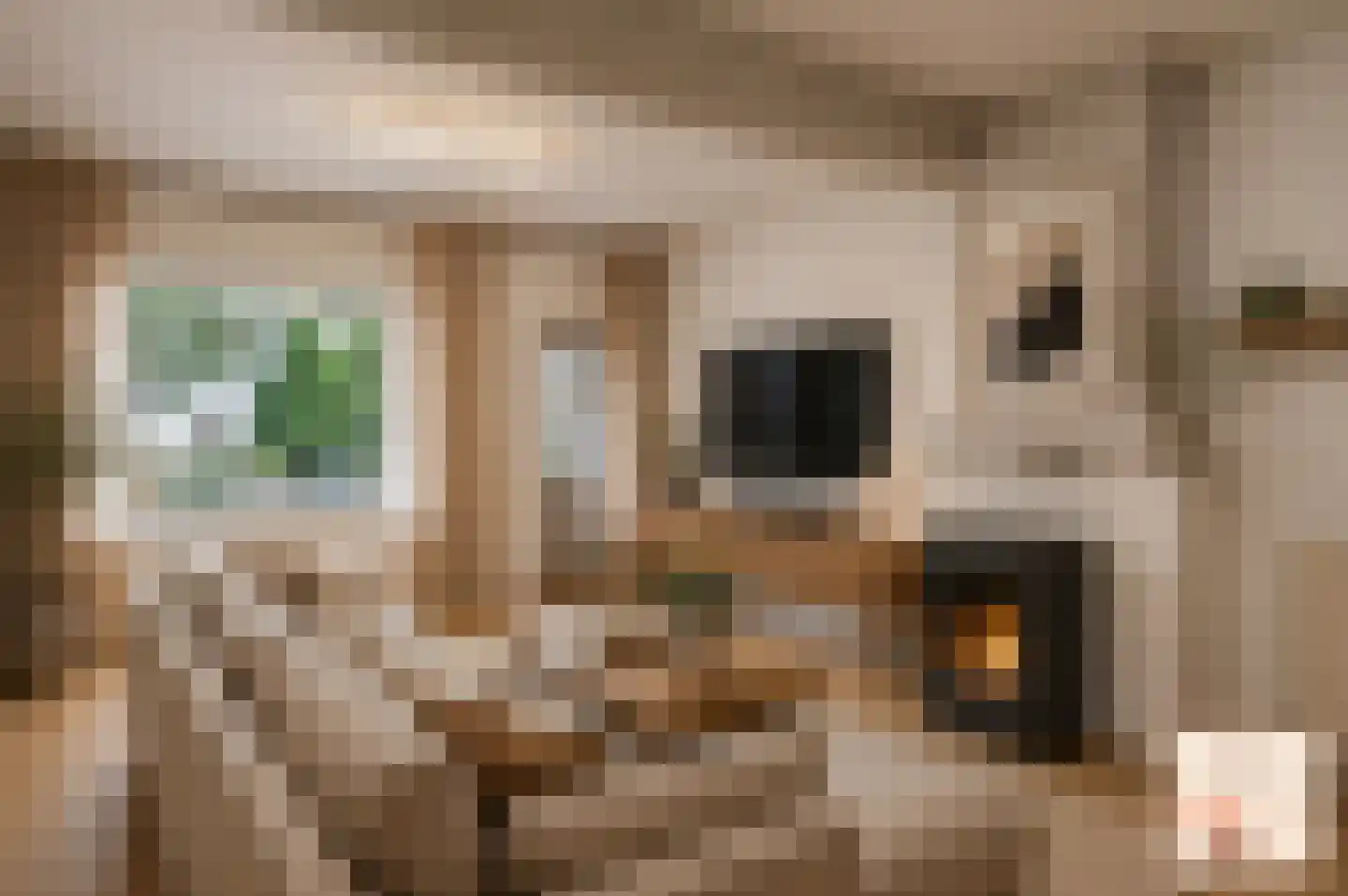 Hoofdstraat 29 Maasbracht thumbnail 30