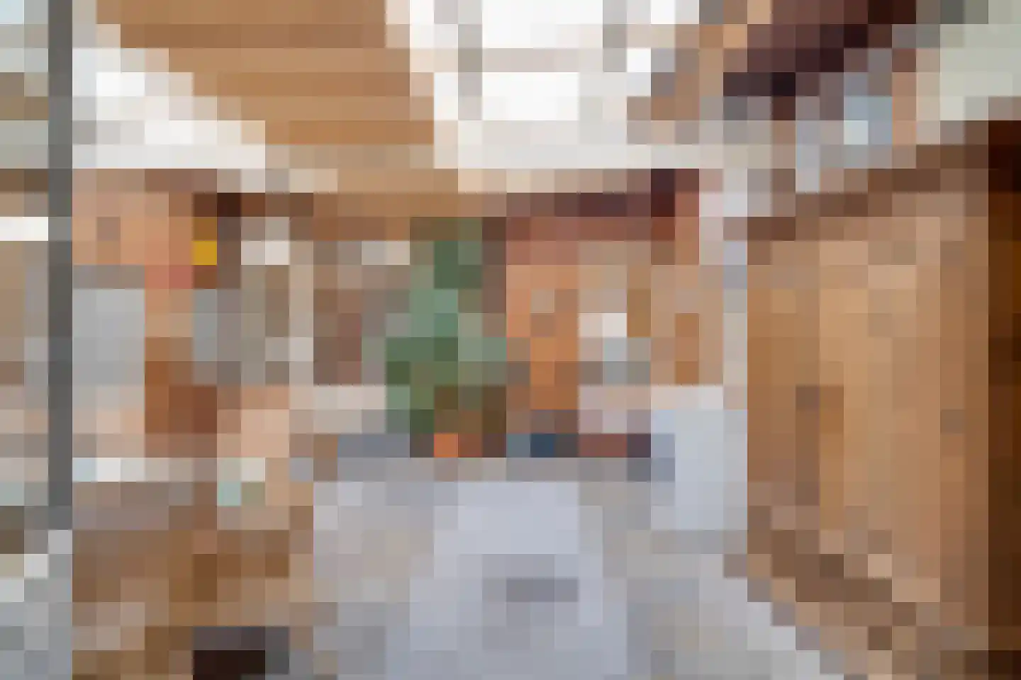 Hoofdstraat 29 Maasbracht thumbnail 32