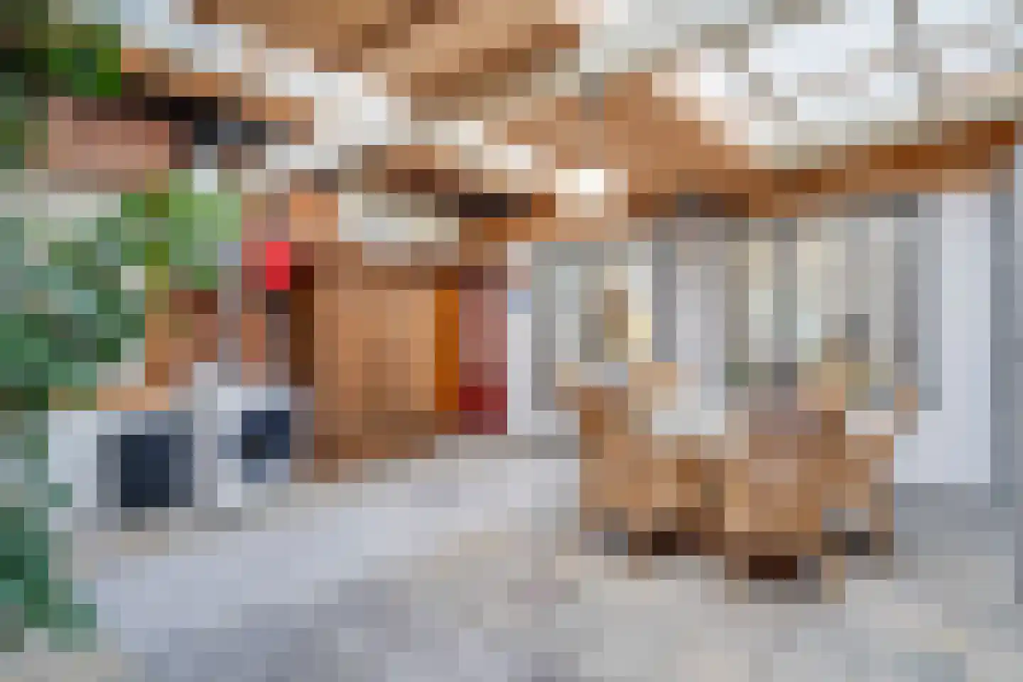 Hoofdstraat 29 Maasbracht thumbnail 35