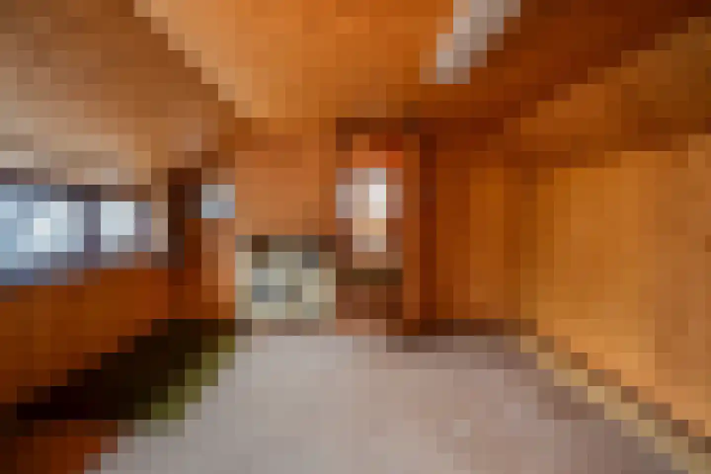 Hoofdstraat 29 Maasbracht thumbnail 48