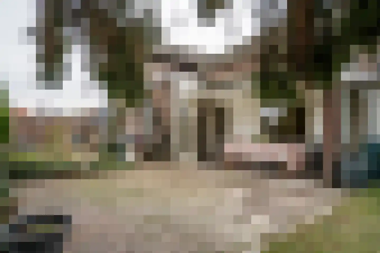 Hoofdstraat 29 Maasbracht thumbnail 55