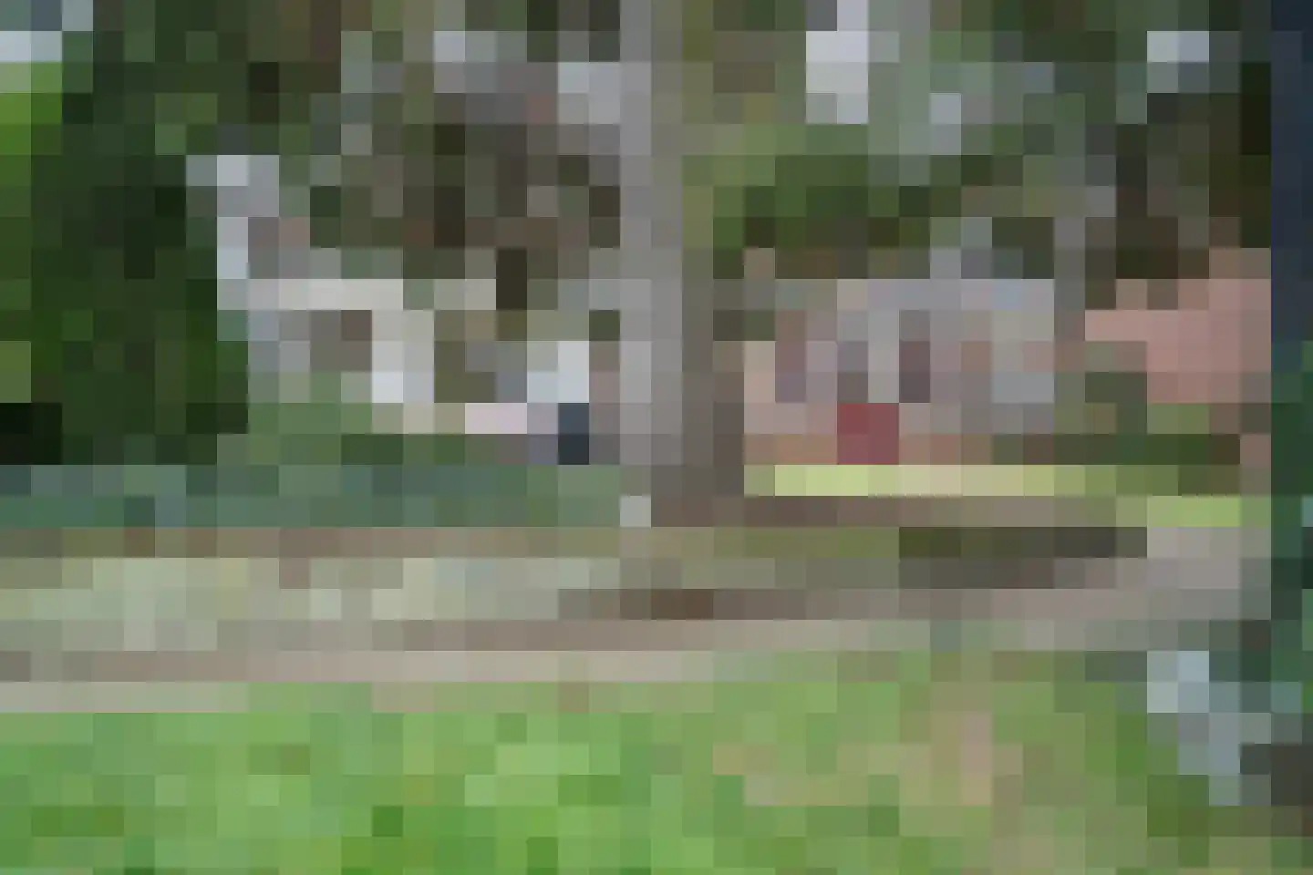 Hoofdstraat 29 Maasbracht thumbnail 59