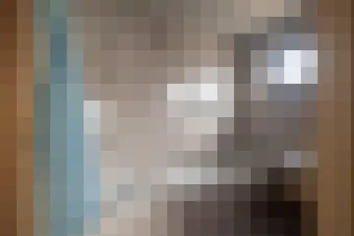 Hoofdstraat 299 Beerta thumbnail 21