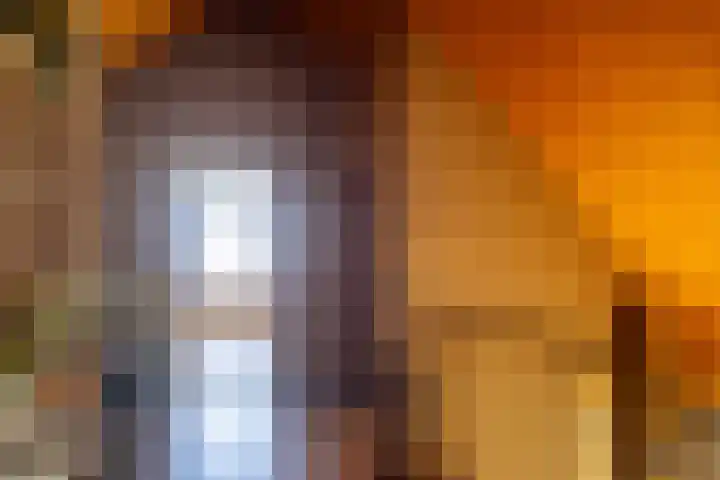 Hoofdstraat 299 Beerta thumbnail 27