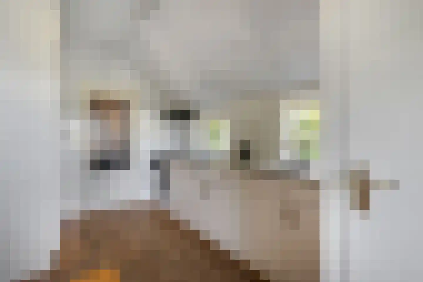 Hoofdstraat 3 Buinen thumbnail 21
