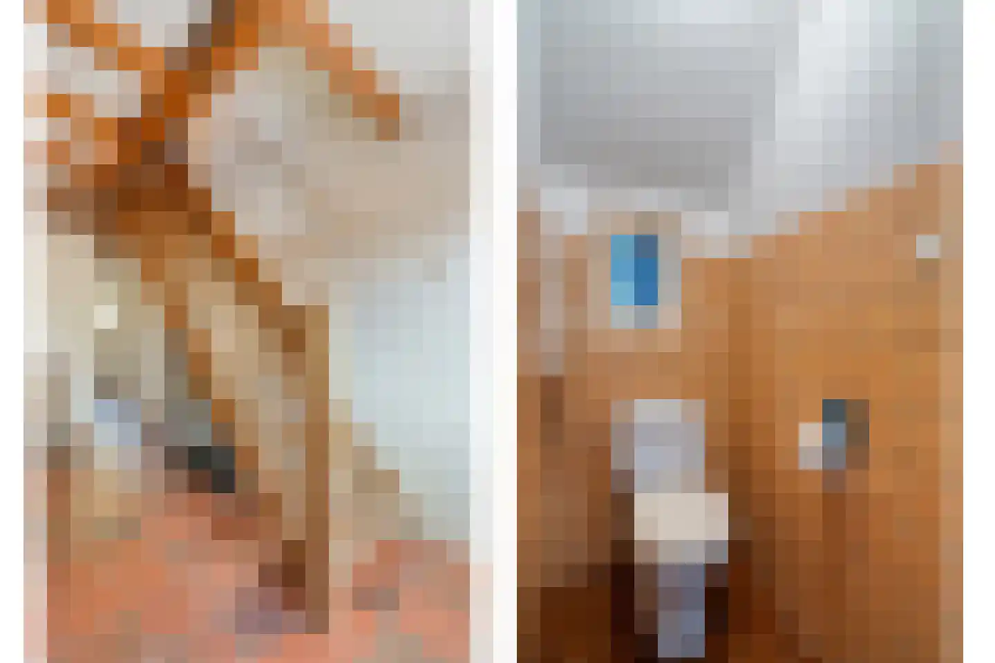 Hoofdstraat 3 Buinen thumbnail 35