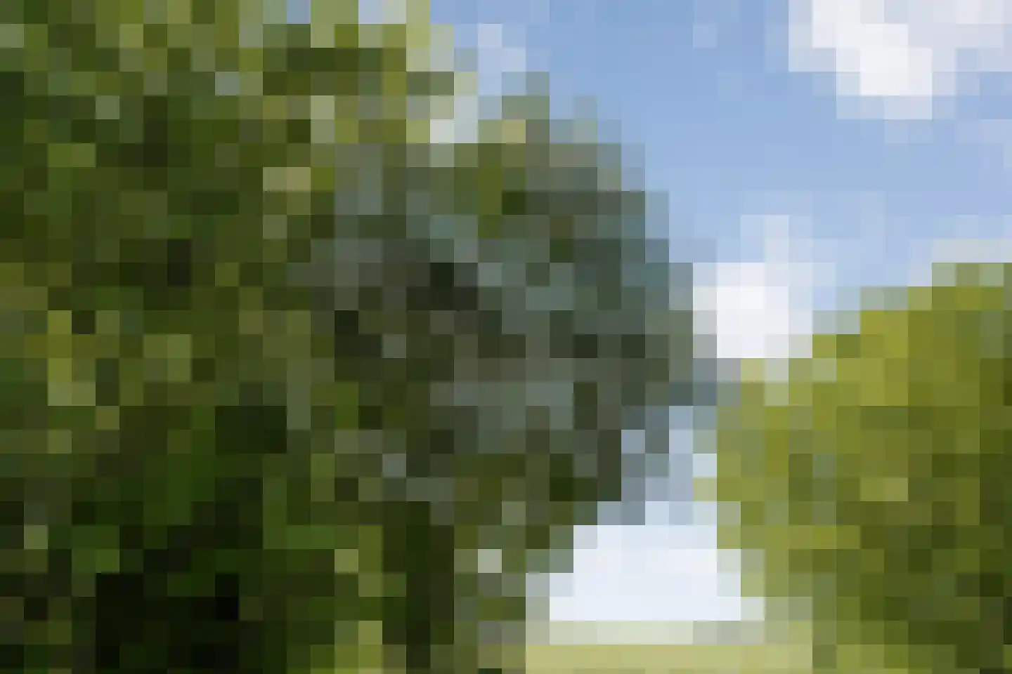 Hoofdstraat 3 Buinen thumbnail 46