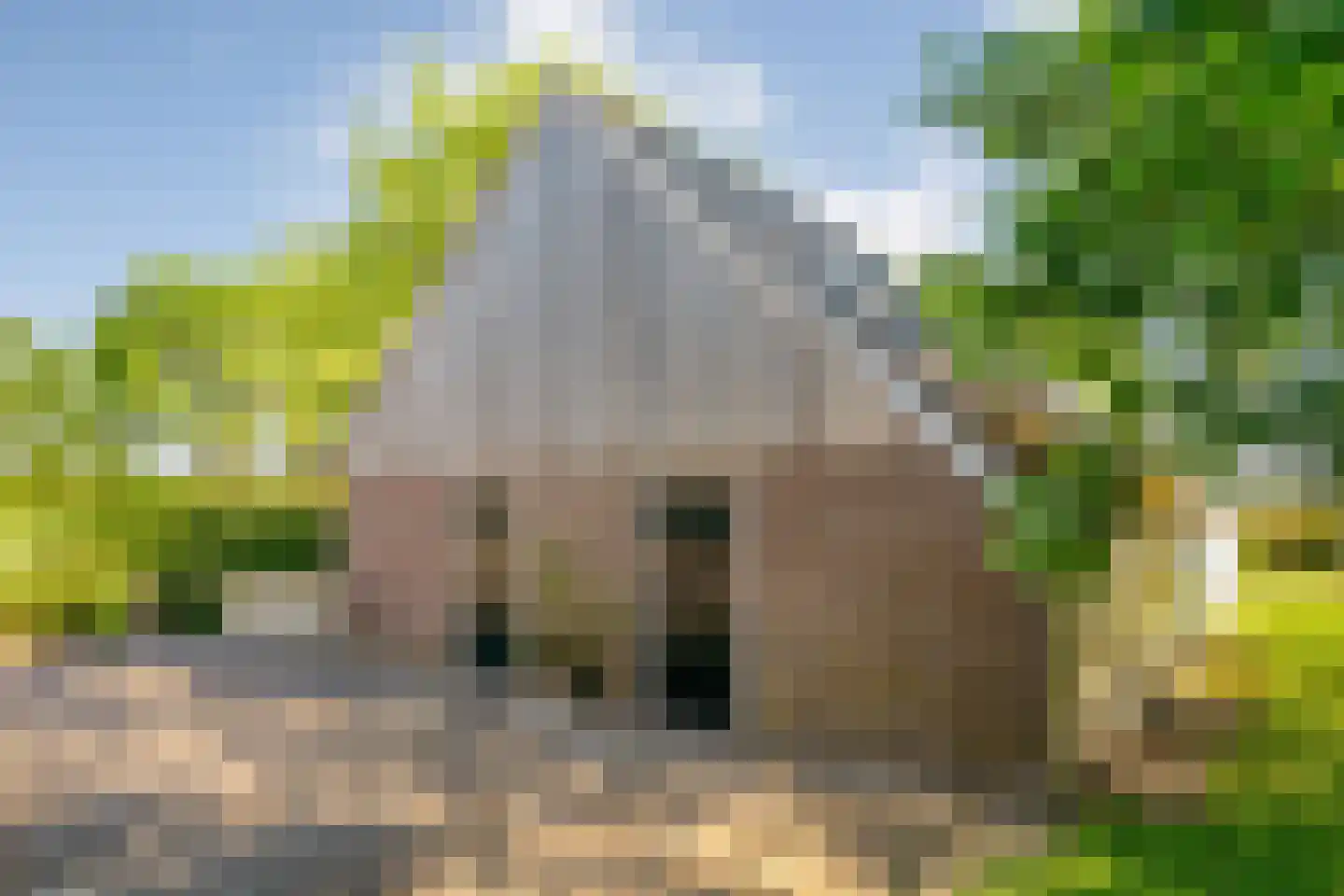 Hoofdstraat 3 Buinen thumbnail 47