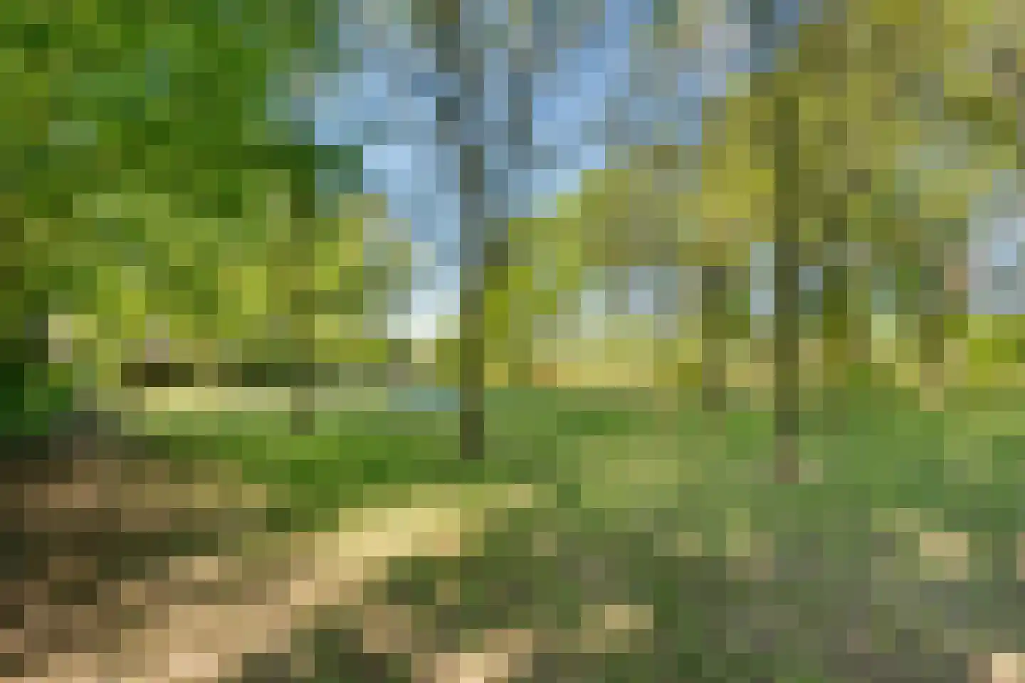 Hoofdstraat 3 Buinen thumbnail 49