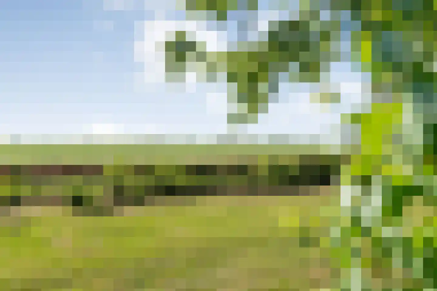 Hoofdstraat 3 Buinen thumbnail 5