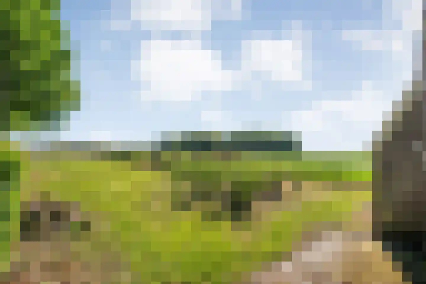 Hoofdstraat 3 Buinen thumbnail 52