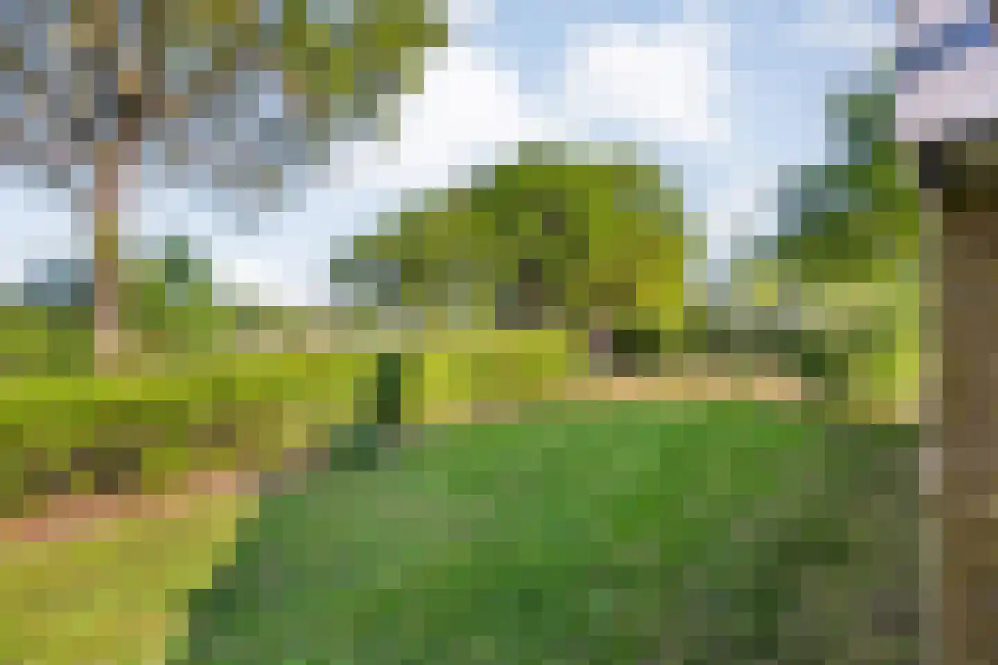 Hoofdstraat 3 Buinen thumbnail 56