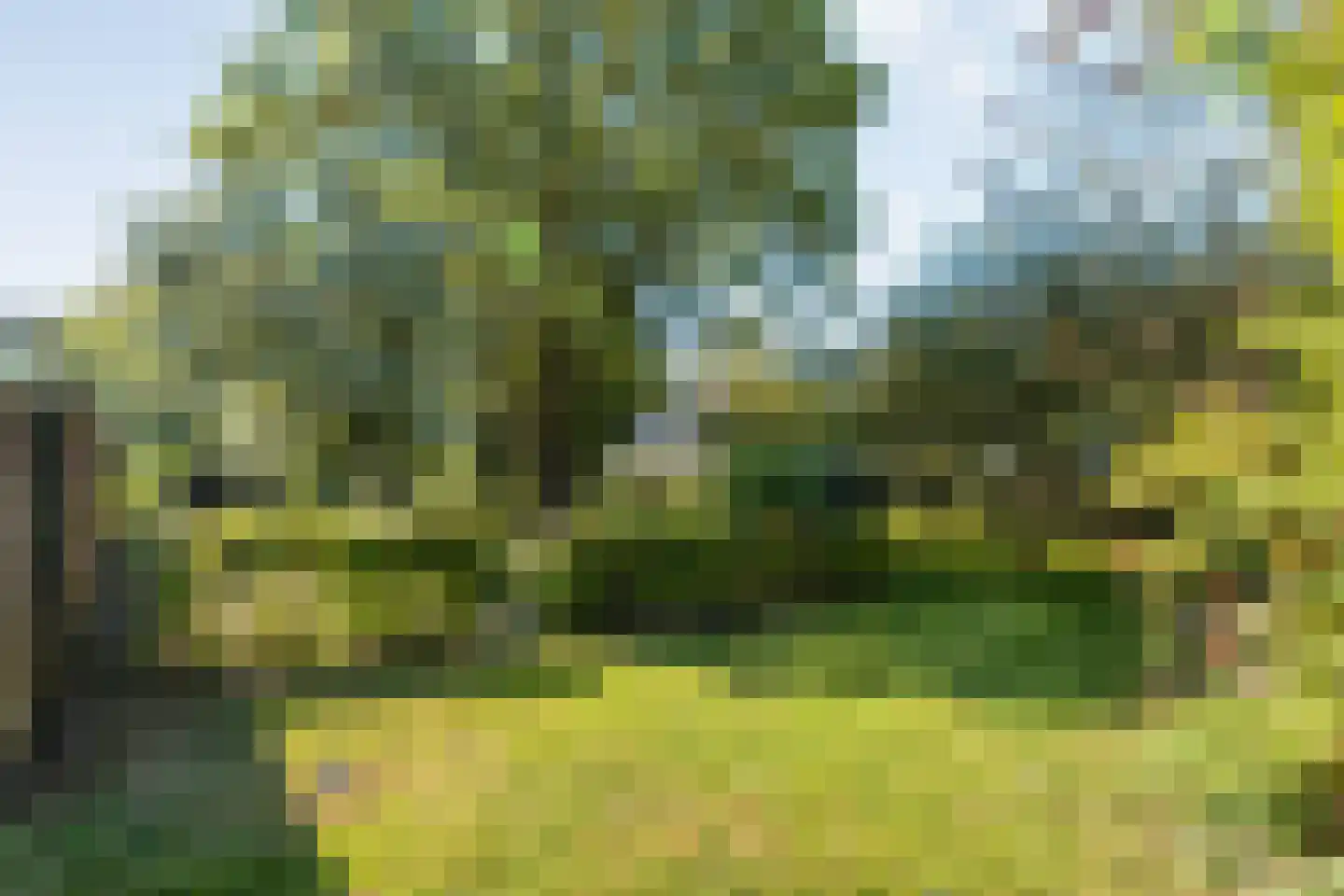 Hoofdstraat 3 Buinen thumbnail 57
