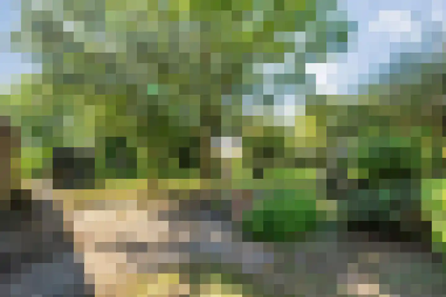 Hoofdstraat 3 Buinen thumbnail 58