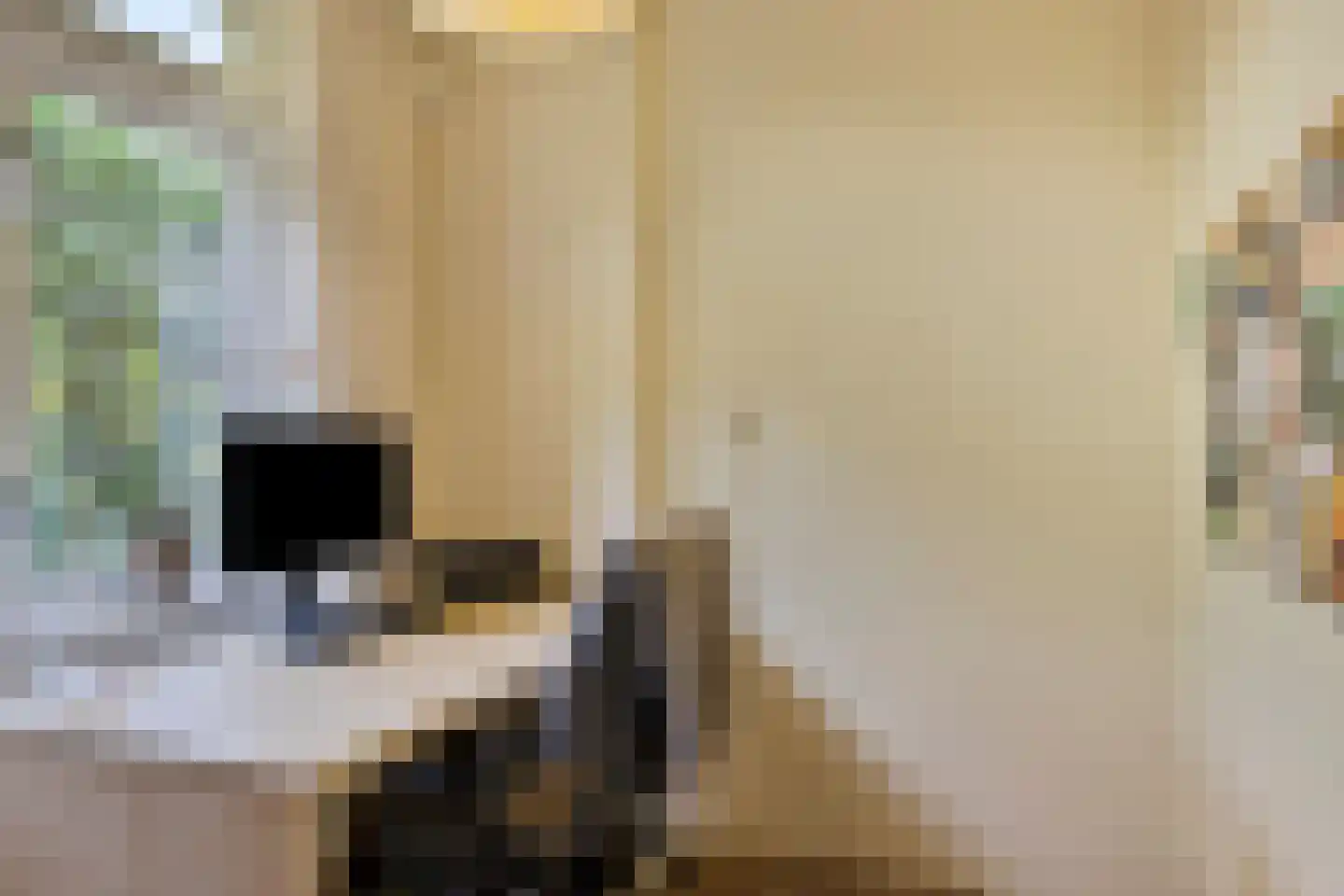 Hoofdstraat 3 Gorssel thumbnail 11