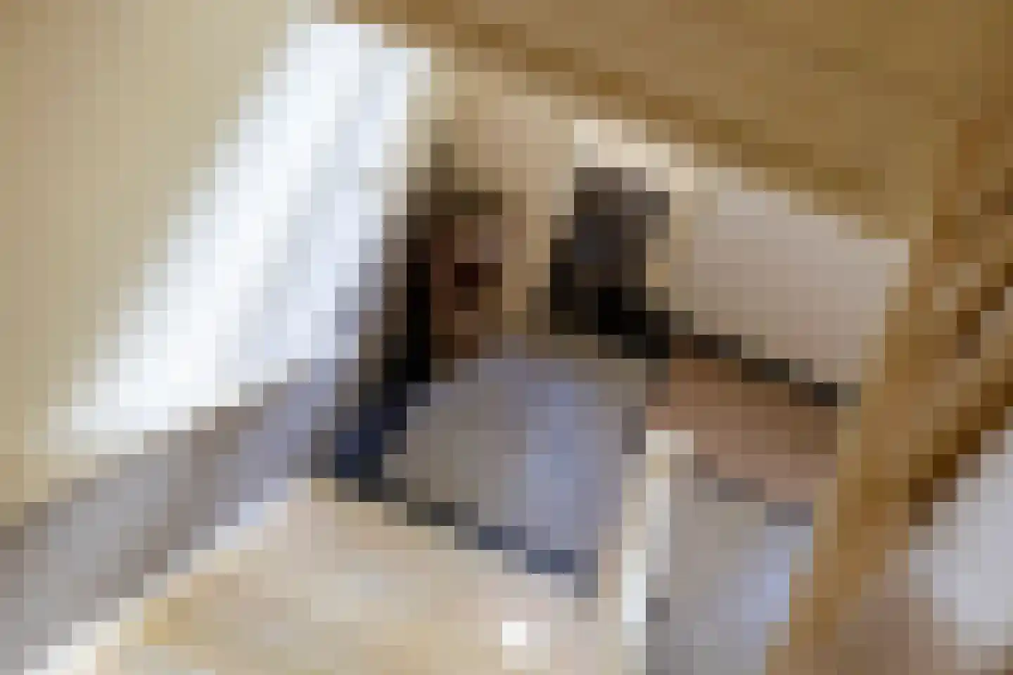 Hoofdstraat 3 Gorssel thumbnail 16