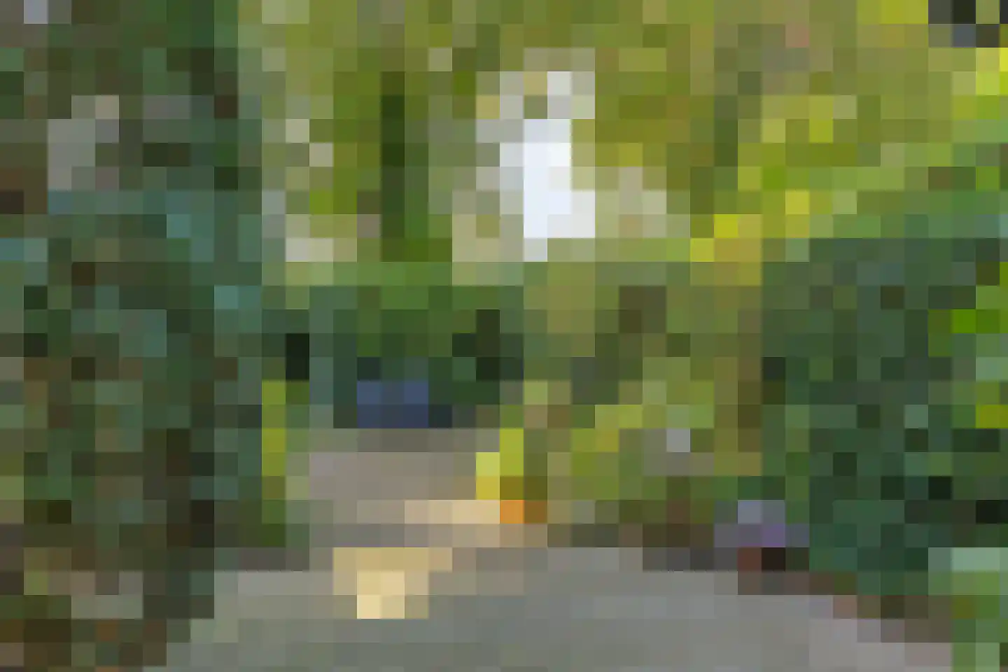 Hoofdstraat 3 Gorssel thumbnail 29