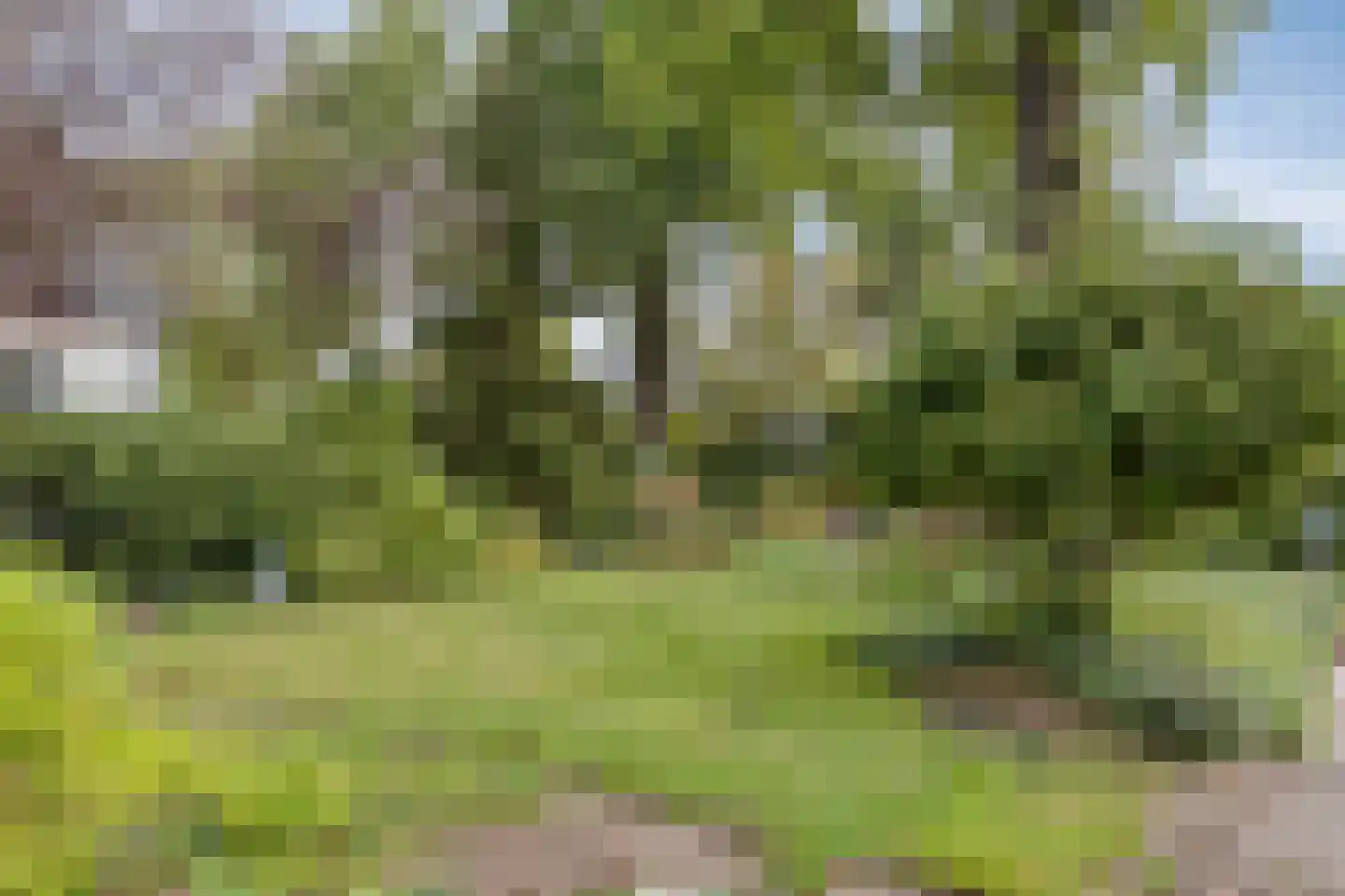 Hoofdstraat 3 Gorssel thumbnail 34