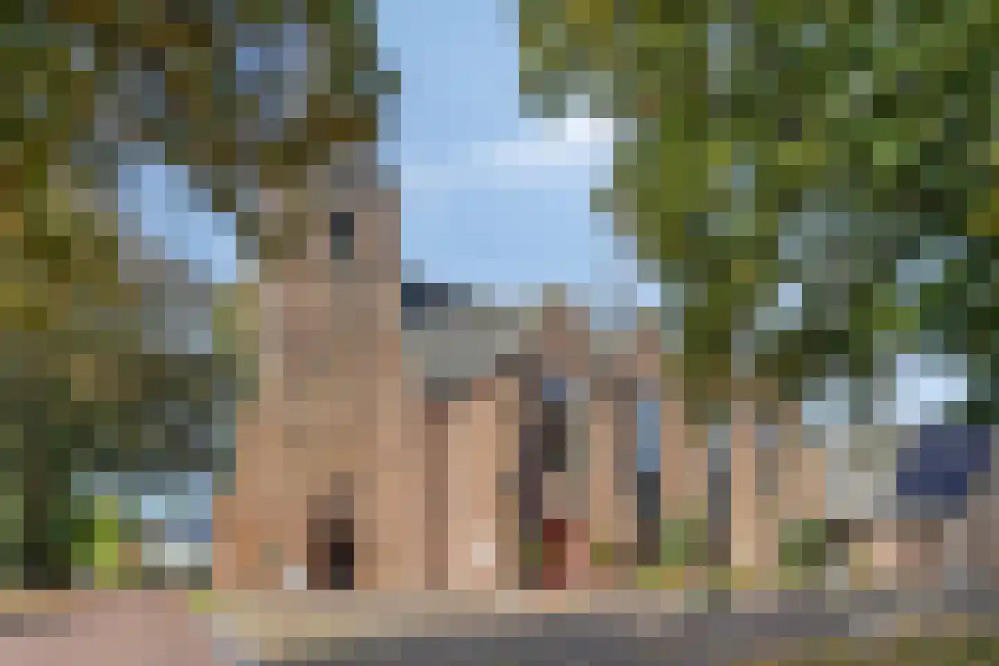Hoofdstraat 3 Gorssel thumbnail 38