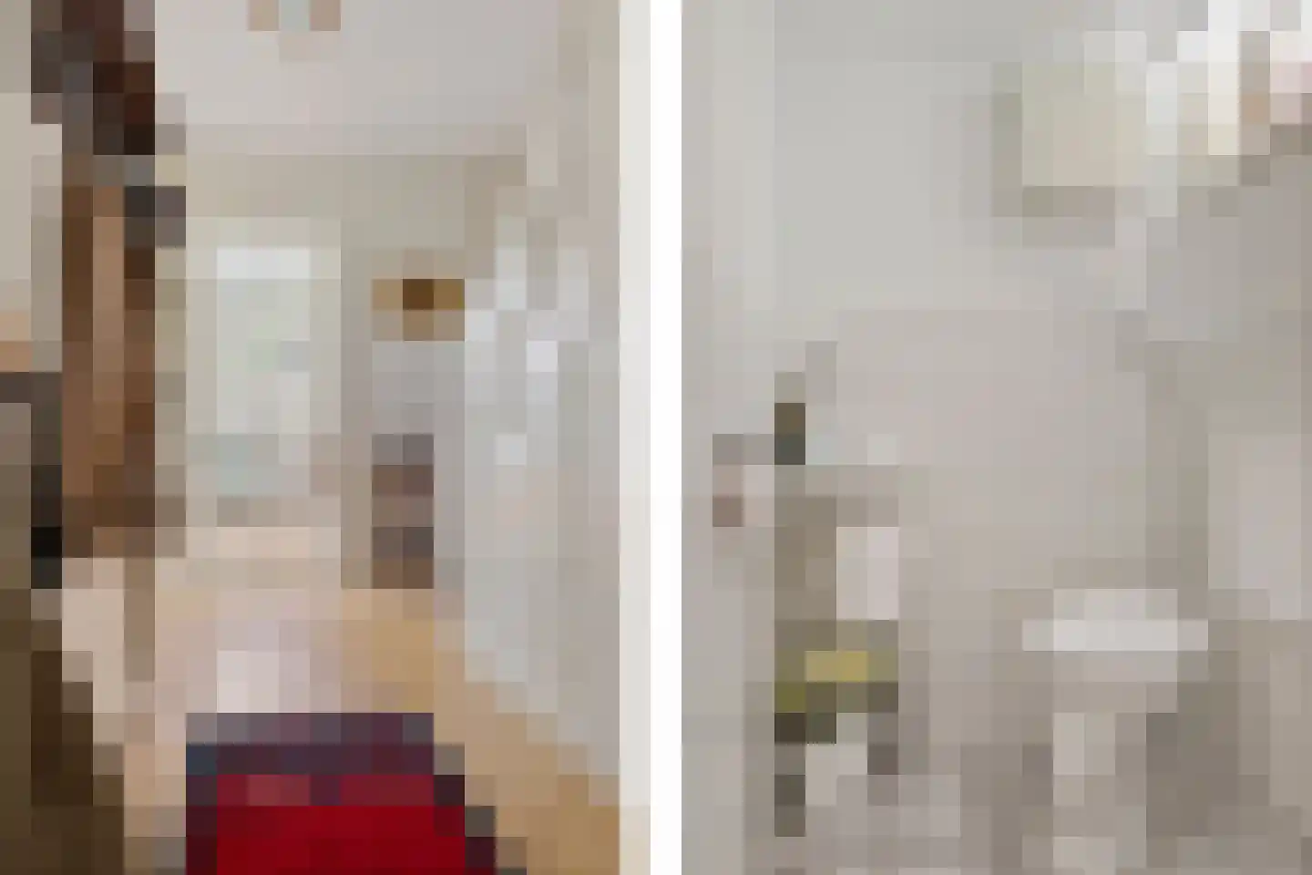 Hoofdstraat 3 Nieuwolda thumbnail 10