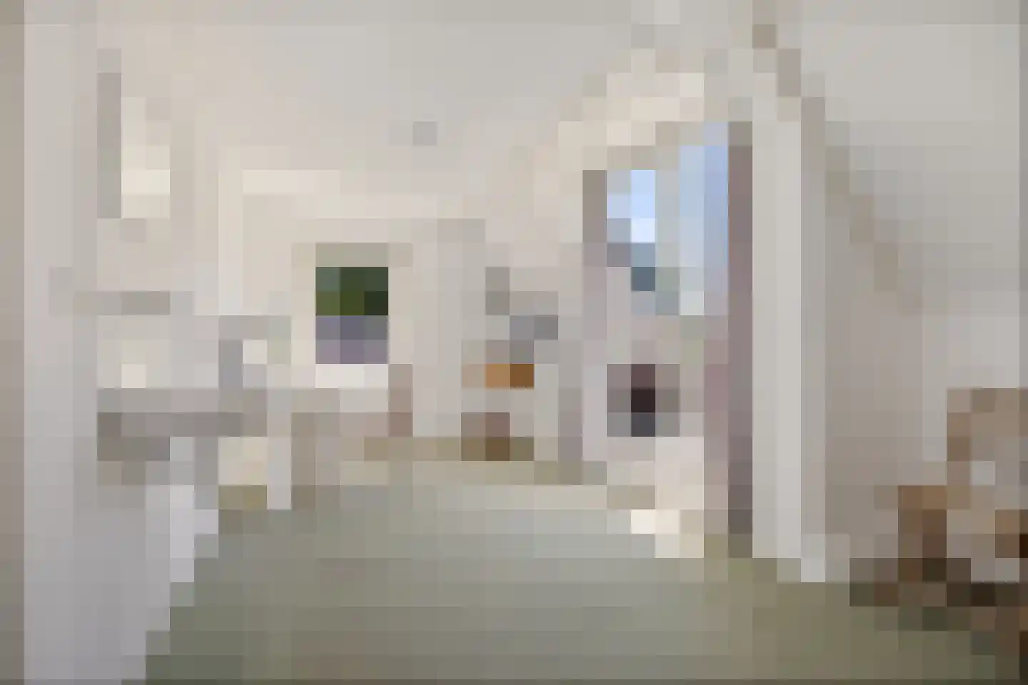 Hoofdstraat 3 Nieuwolda thumbnail 38