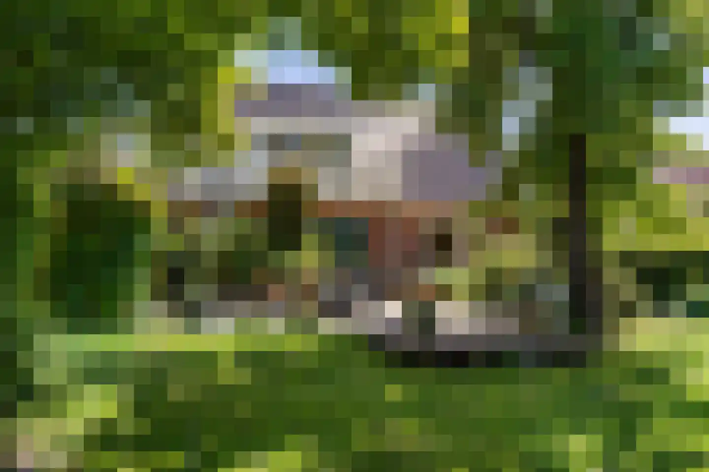 Hoofdstraat 3 Nieuwolda thumbnail 50